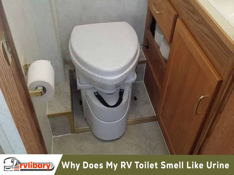 Why Does My RV Toilet Smell Like Urine