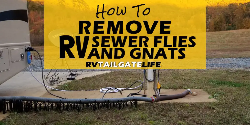 How to Get Rid of Gnats in Rv Toilet