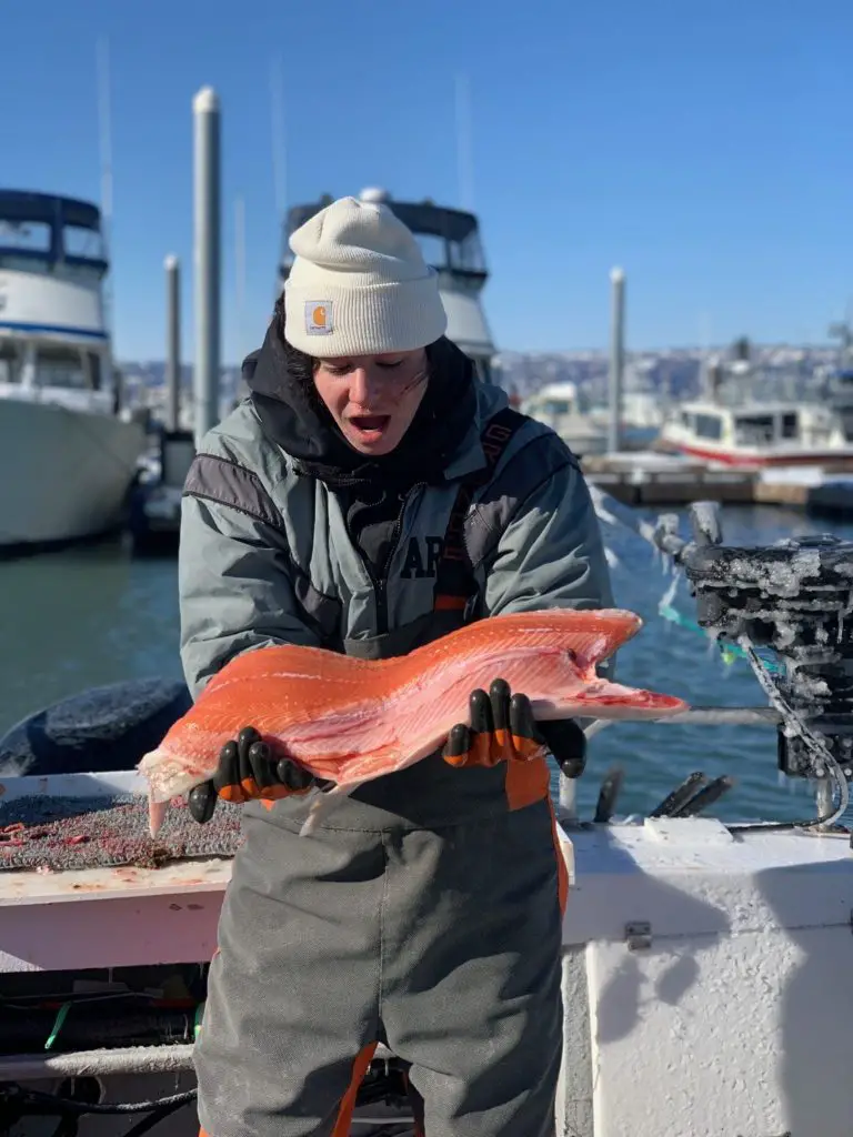 How Much Does It Cost to Ship Fish from Alaska
